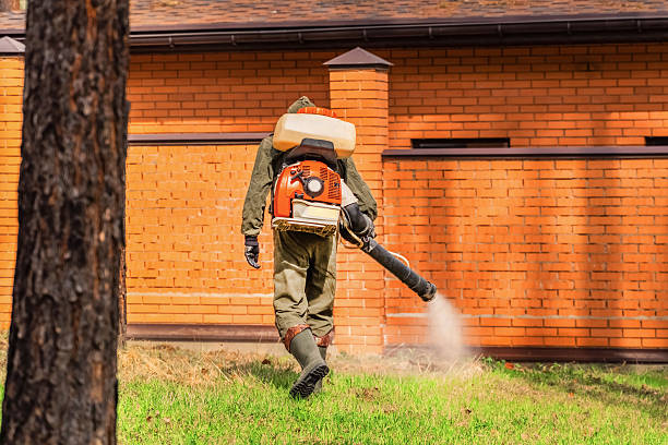 Trusted Termite Control service in Seymour, IN - Nex Pest Control